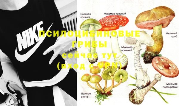 шишки Алексин