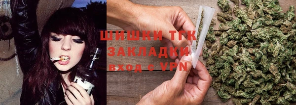 дживик Протвино