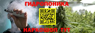 ПСИЛОЦИБИНОВЫЕ ГРИБЫ Гатчина