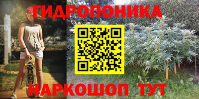 ПСИЛОЦИБИНОВЫЕ ГРИБЫ Гатчина