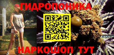 ПСИЛОЦИБИНОВЫЕ ГРИБЫ Гатчина