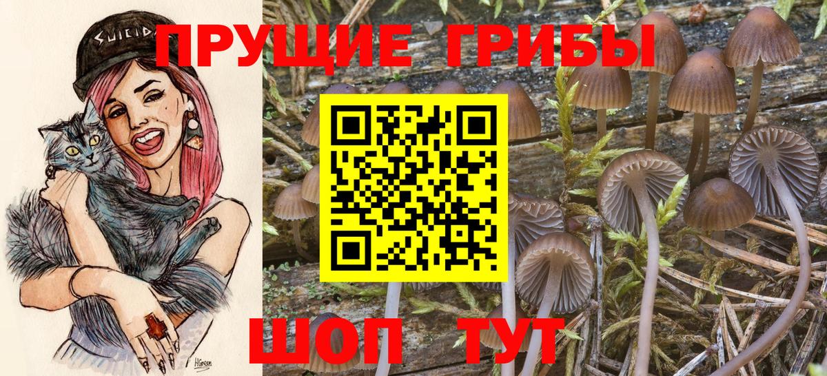 Галлюциногенные грибы ЛСД  Вход с VPN  Нурлат 
